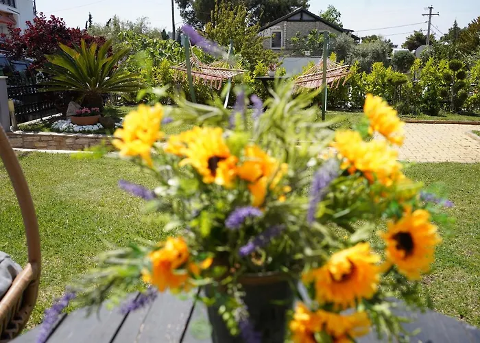 Jasmine Pensionat 4*