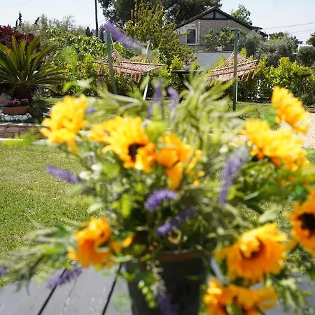 Jasmine Guest house *
